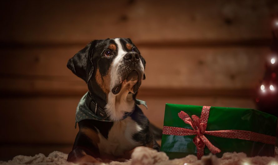 Не говори что забыл купить подарок