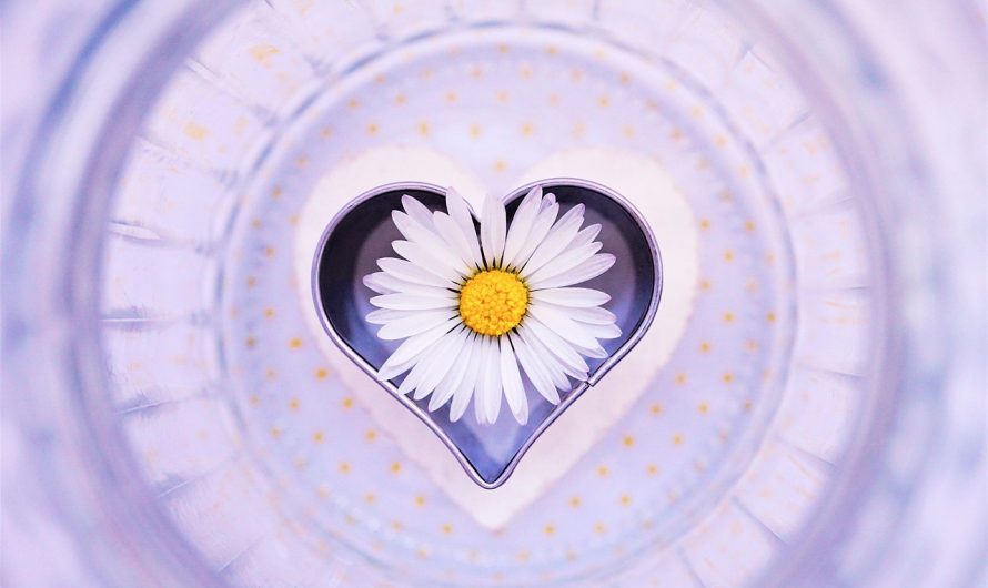 Купить подарок начальнику на день рождения мужчине