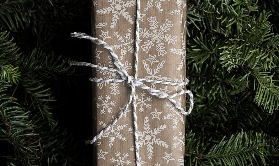 Какой подарок подарить младшей сестре