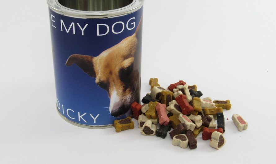 Какой подарок подарить мужу на день рождения