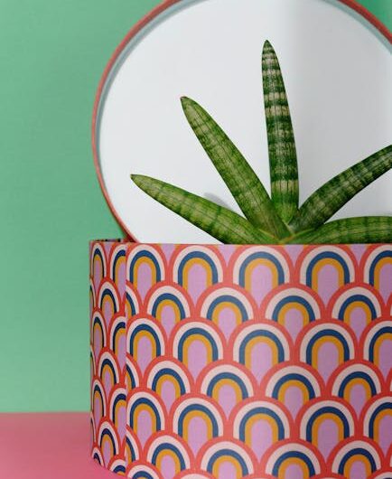 Купить полет в подарок