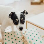 Что подарить классу 1 image_790.jpg