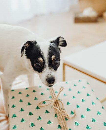 Что подарить классу 1