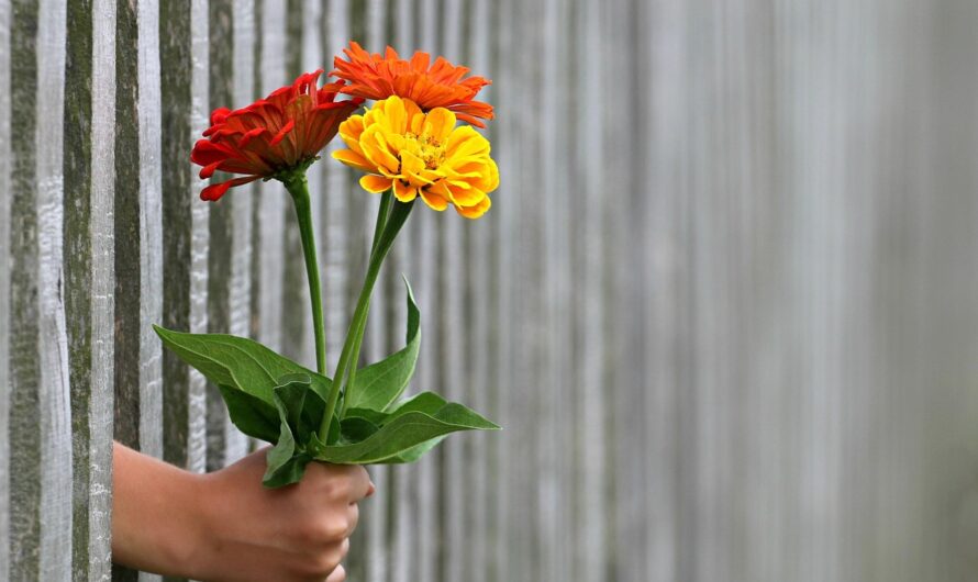 Что можно подарить на годовщину