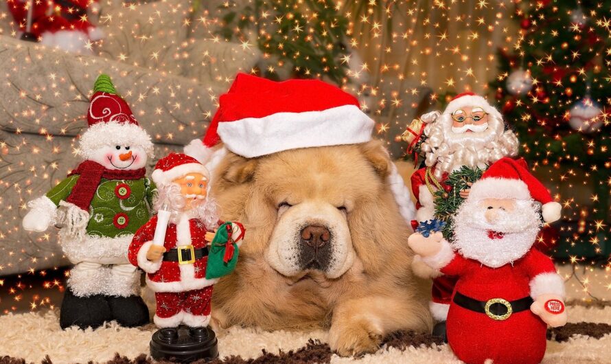 Поздравление с рождением с подарками