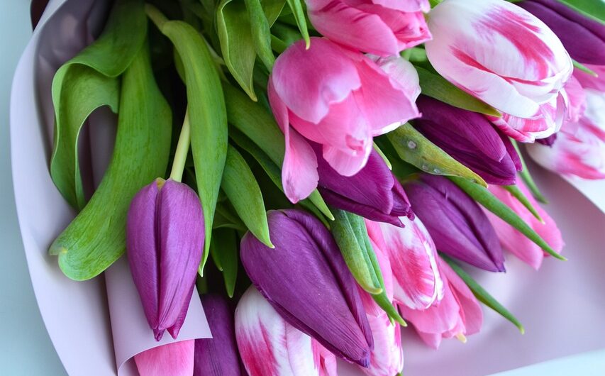 Подарок лев купить