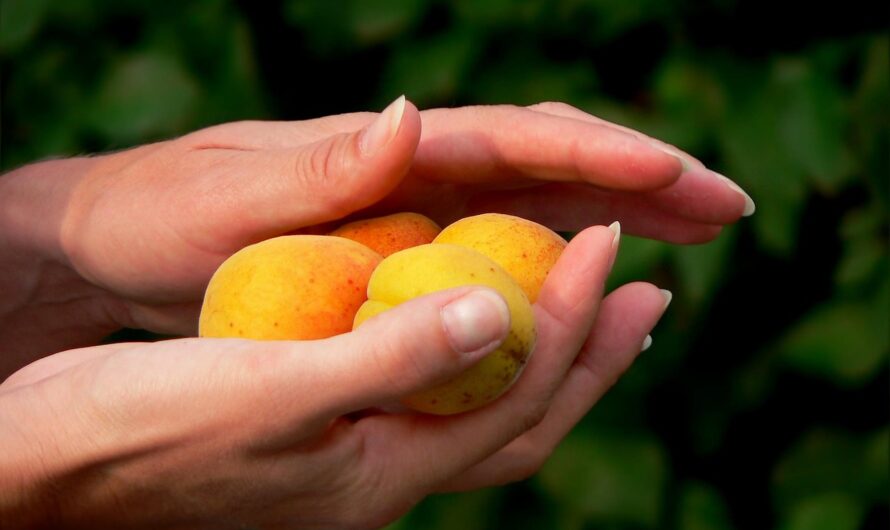 Подарки для 8 и 10 лет