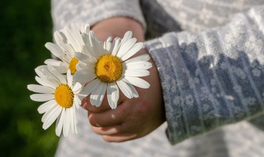 Какой подарок женщине на день рождения