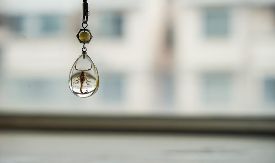 Что подарить бюджету