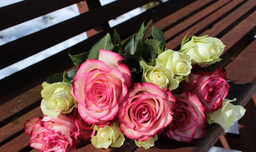 Что можно подарить родителям на выпускной