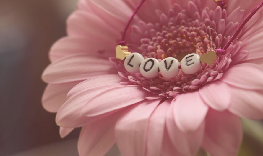 Подарки на день рождения другу 16